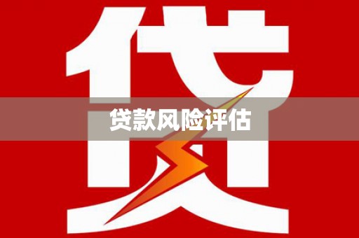 沙鹿贷款风险评估