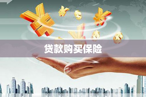 沙鹿贷款购买保险