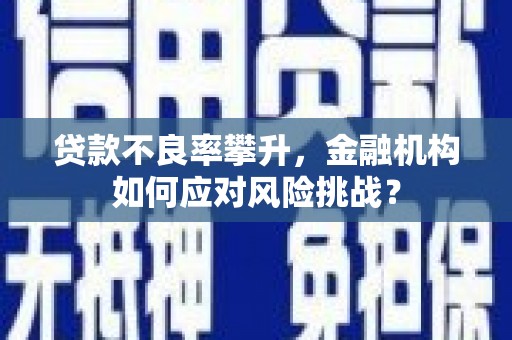 沙鹿贷款不良率攀升，金融机构如何应对风险挑战？