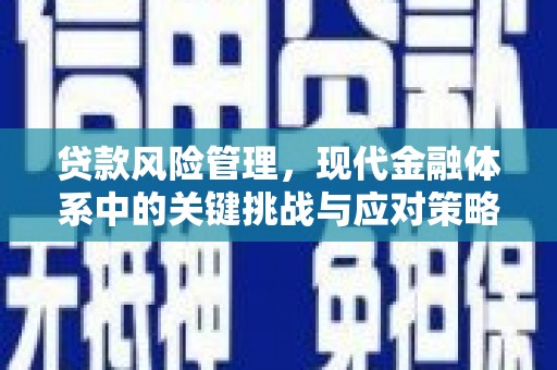 沙鹿贷款风险管理，现代金融体系中的关键挑战与应对策略