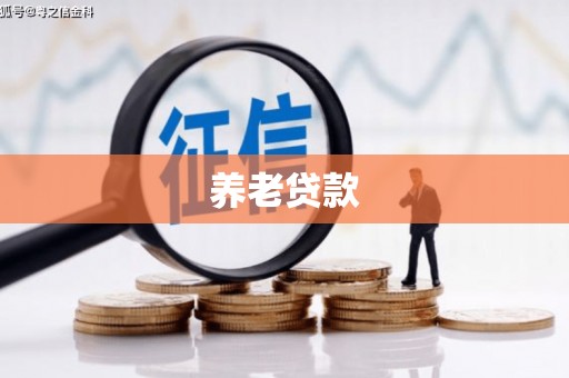 沙鹿养老贷款