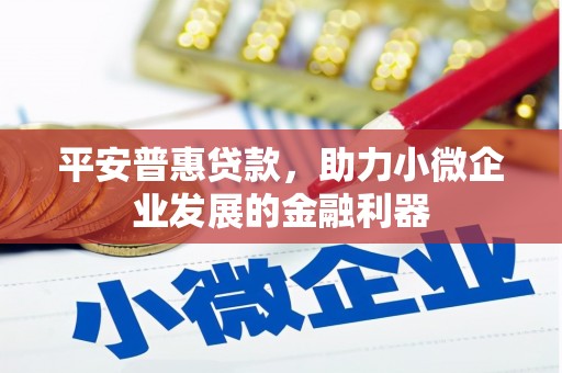 沙鹿平安普惠贷款，助力小微企业发展的金融利器