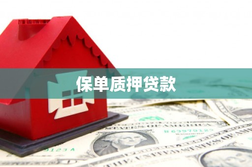 沙鹿保单质押贷款