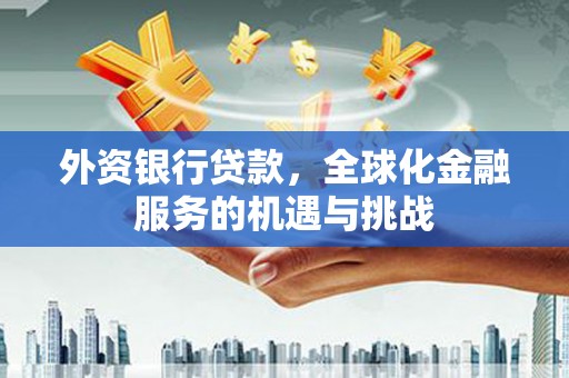 沙鹿外资银行贷款，全球化金融服务的机遇与挑战