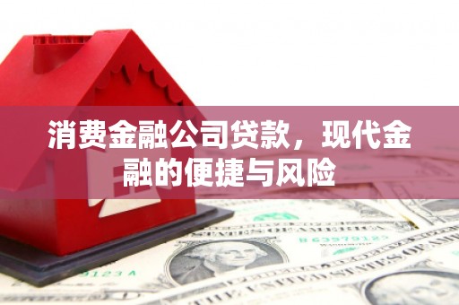 沙鹿消费金融公司贷款，现代金融的便捷与风险