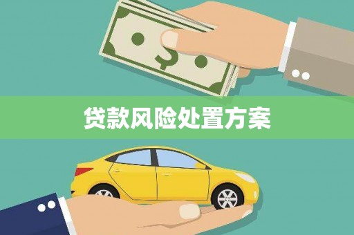 沙鹿贷款风险处置方案