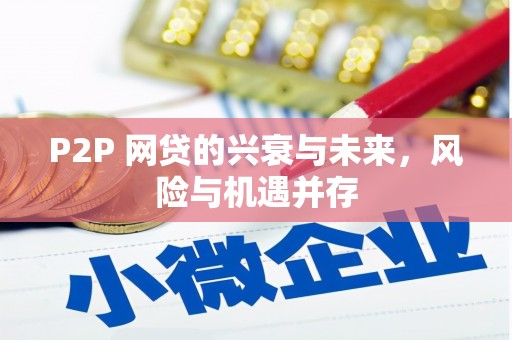 沙鹿P2P 网贷的兴衰与未来，风险与机遇并存
