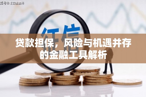 沙鹿贷款担保，风险与机遇并存的金融工具解析