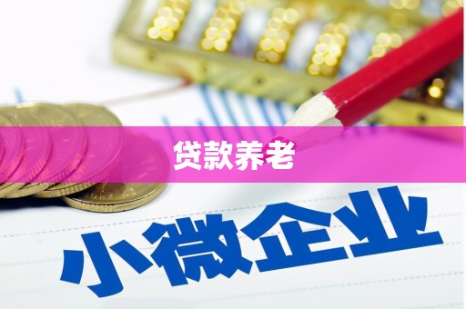 沙鹿贷款养老