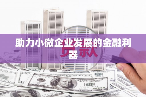 沙鹿助力小微企业发展的金融利器