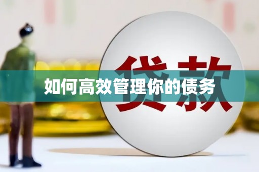 沙鹿如何高效管理你的债务
