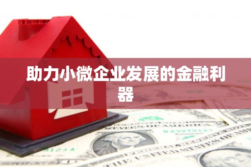 沙鹿助力小微企业发展的金融利器