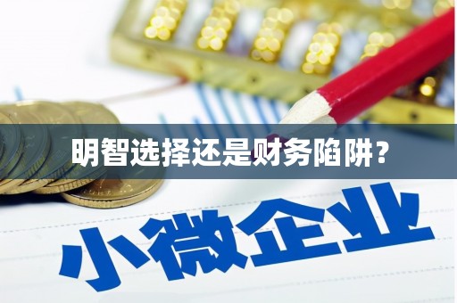 沙鹿明智选择还是财务陷阱？