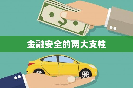 沙鹿金融安全的两大支柱