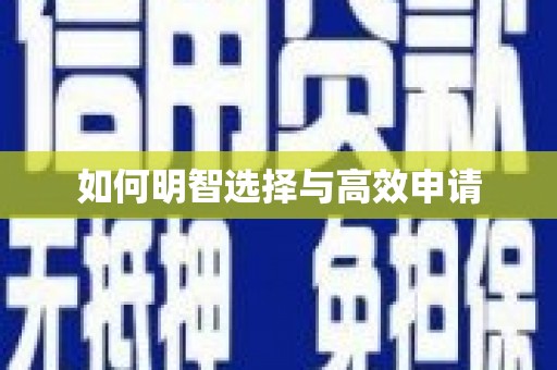 沙鹿如何明智选择与高效申请