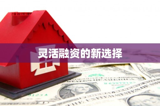 沙鹿灵活融资的新选择