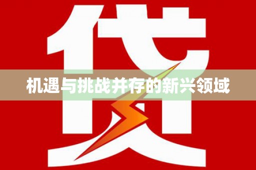 沙鹿机遇与挑战并存的新兴领域