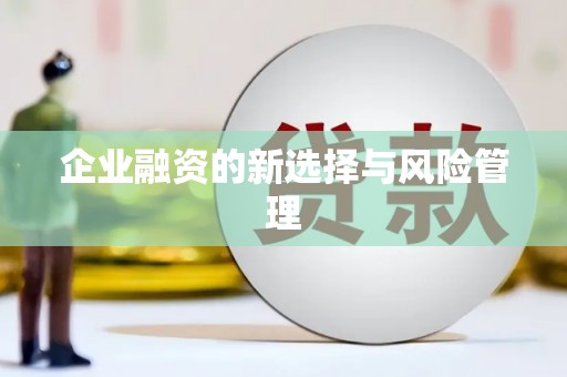沙鹿企业融资的新选择与风险管理