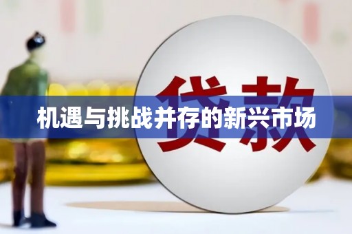 沙鹿机遇与挑战并存的新兴市场