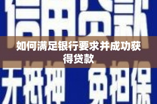 沙鹿如何满足银行要求并成功获得贷款