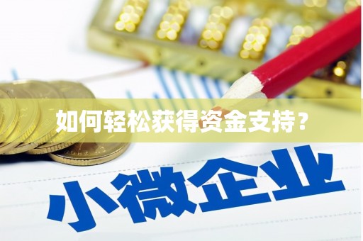 沙鹿如何轻松获得资金支持？