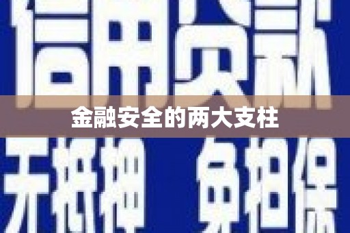 沙鹿金融安全的两大支柱