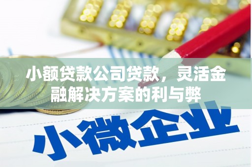 沙鹿小额贷款公司贷款，灵活金融解决方案的利与弊