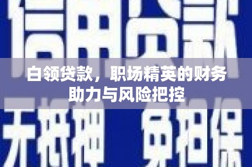 沙鹿白领贷款，职场精英的财务助力与风险把控