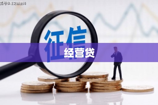 沙鹿经营贷