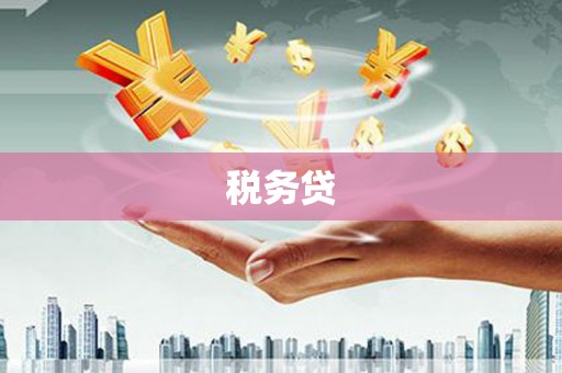 沙鹿税务贷